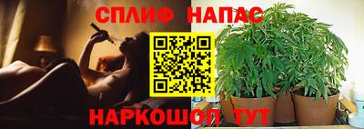 дживик Вышний Волочёк