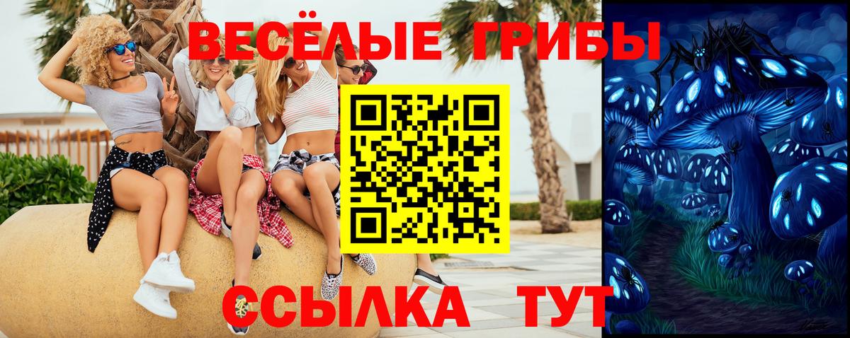 Белая Калитва  Псилоцибиновые грибы мухоморы  Вход с VPN 